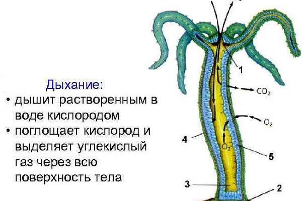 Угнали аккаунт кракен