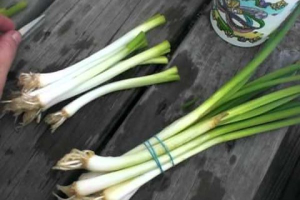 Оригинальная ссылка на кракен