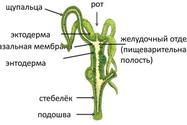 Kraken сайт зеркала