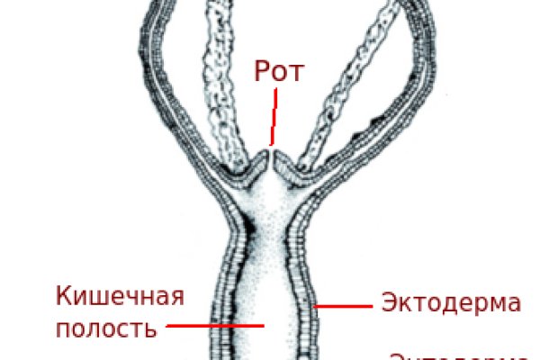 Kraken ссылка тор 2krnk biz kraken17ate pro