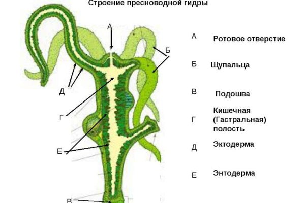 Кракен ссылка стор